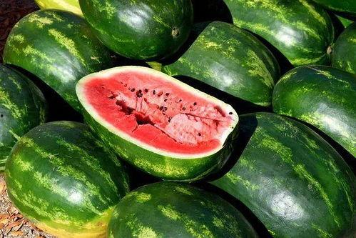 娱乐吃瓜素材图片大全,吃瓜素材图片大全大汇总