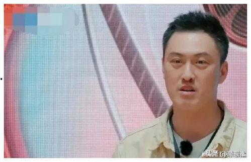 娱乐圈吃瓜爆料陈晓微博,吃瓜群众纷纷热议